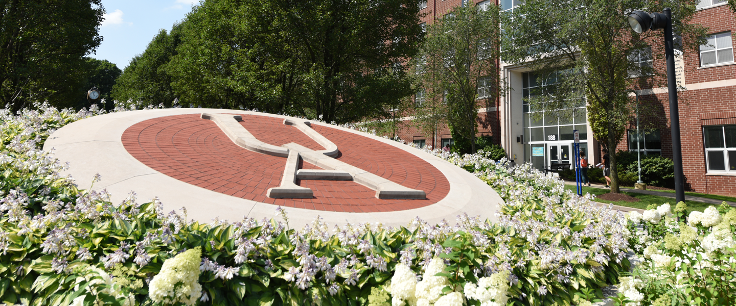 The University of Akron campus